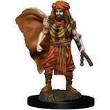 D&D Premium Figure: Human Druid Male
